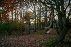 model swinging from the fall trees