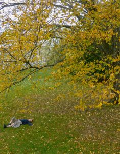 model laying under the perfect fall tree