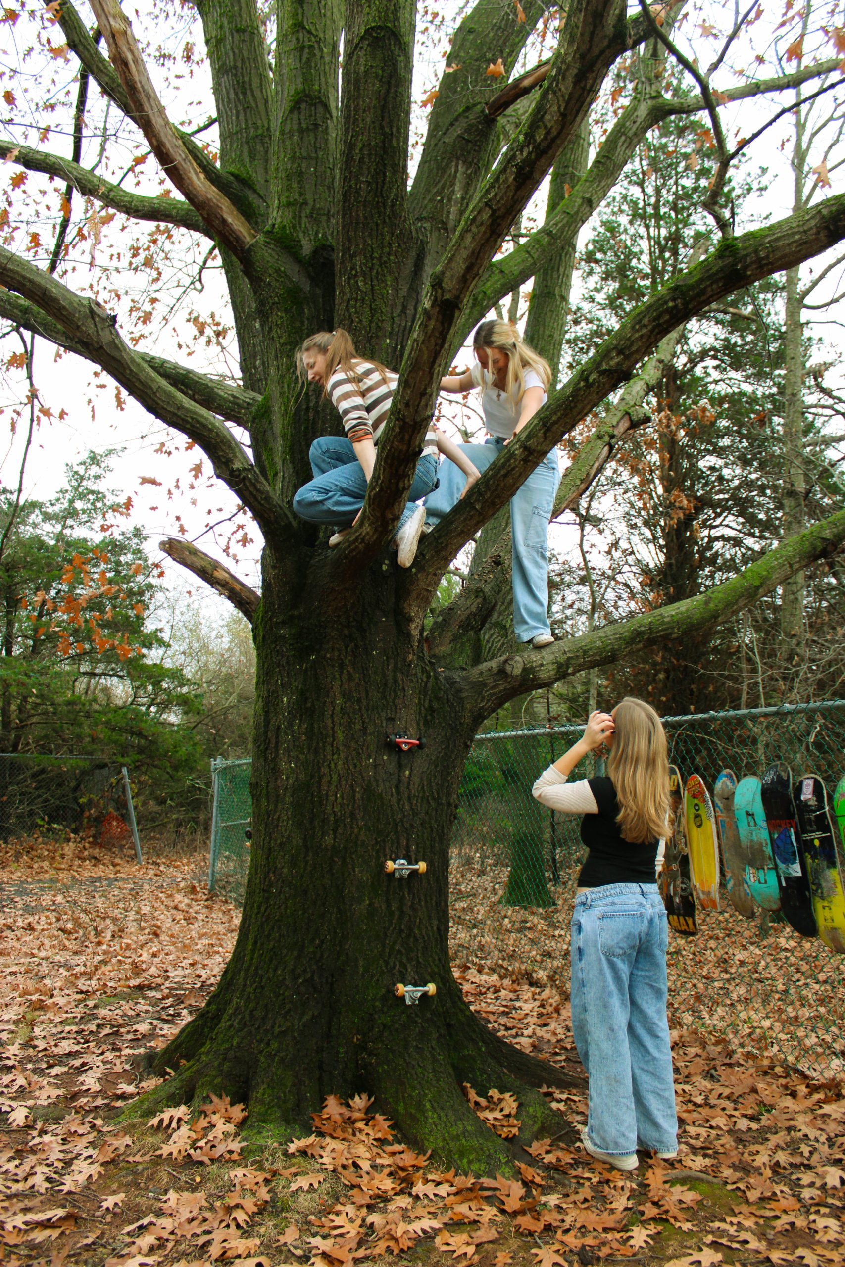 3 models playing in the tree