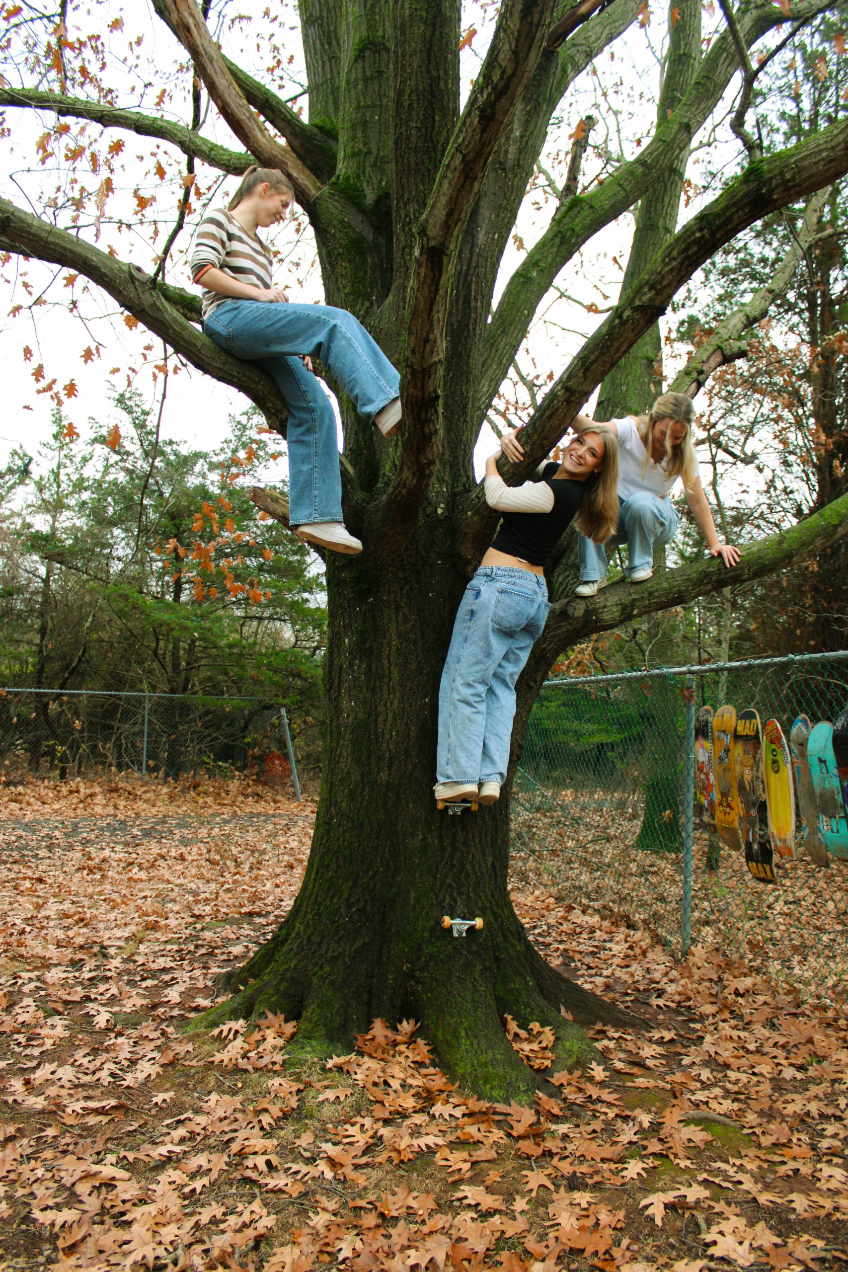 3 models playing in the tree